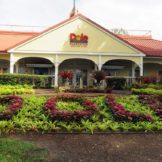 Quirky Attraction: The Dole Plantation in Hawaii – Quirky Travel Guy
